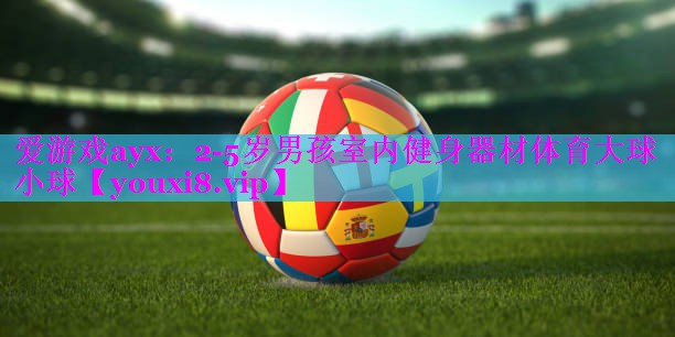 爱游戏ayx：2-5岁男孩室内健身器材体育大球小球