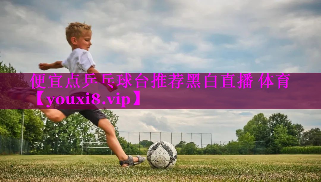 便宜点乒乓球台推荐黑白直播 体育