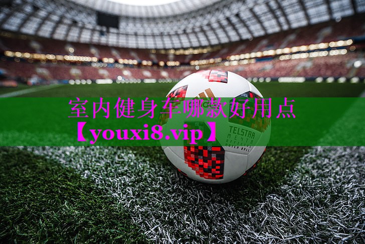 室内健身车哪款好用点