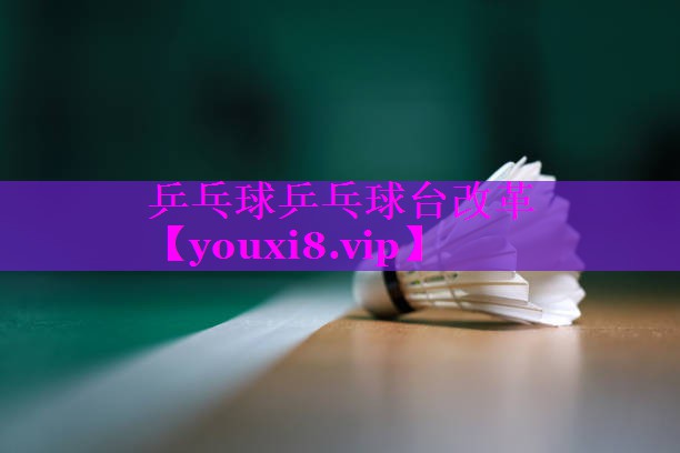 乒乓球乒乓球台改革