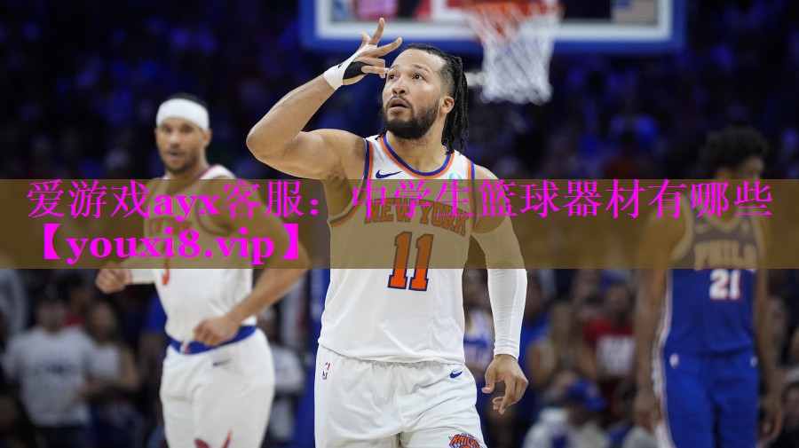 爱游戏ayx客服：中学生篮球器材有哪些