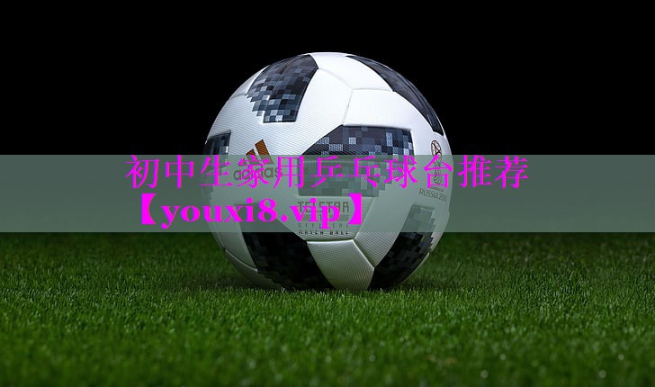 初中生家用乒乓球台推荐
