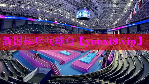 新国标乒乓球台 新国标乒乓球台