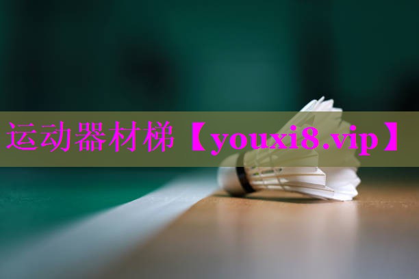 运动器材梯 运动器材梯